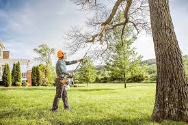 Best Utility Line Clearance  in Darien, GA